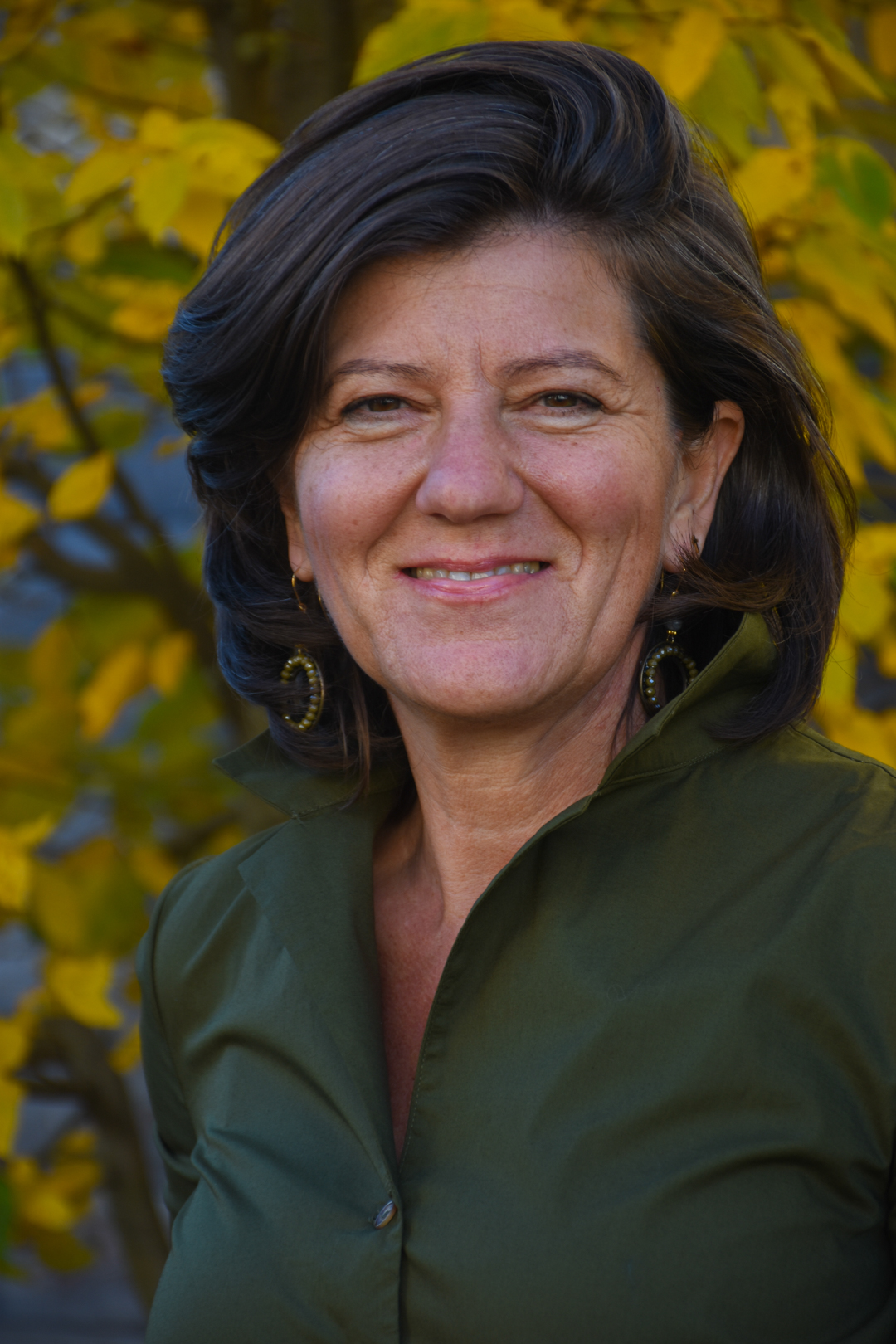 Trachtenkleid in Grün